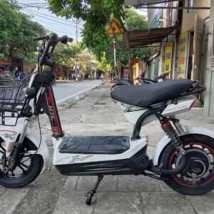 xe đạp điện m133