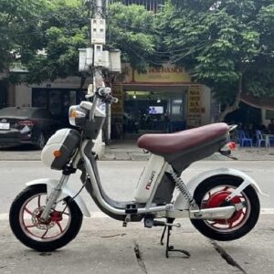 xe đạp điện njja cũ