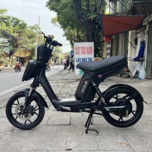 xe đạp điện cap a pega