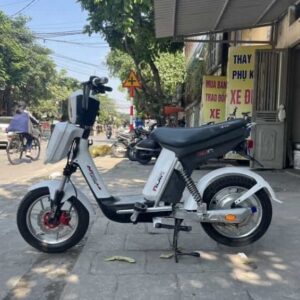 xe đạp điện cap-a