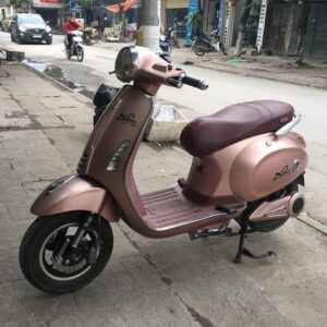 VP1